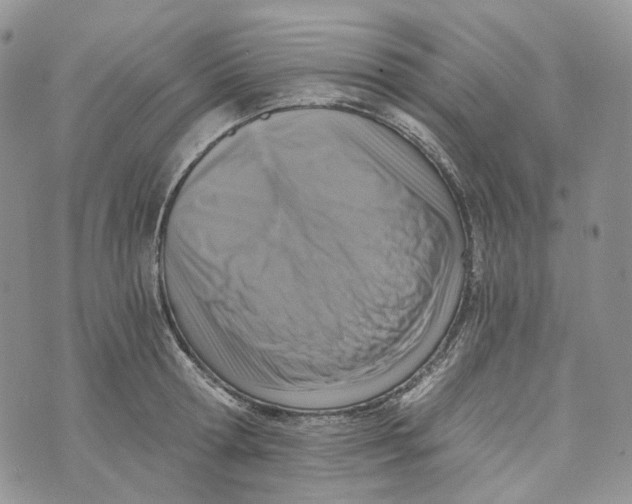 X0000072950802200608111624