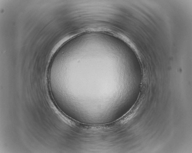 X0000072950803200608111624