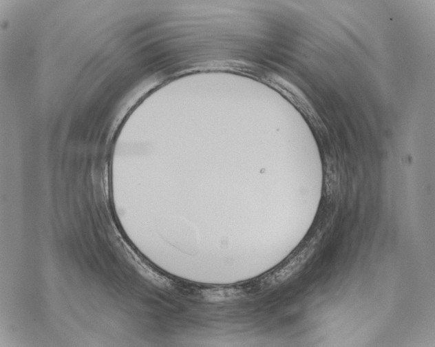 X0000072950804200608111624