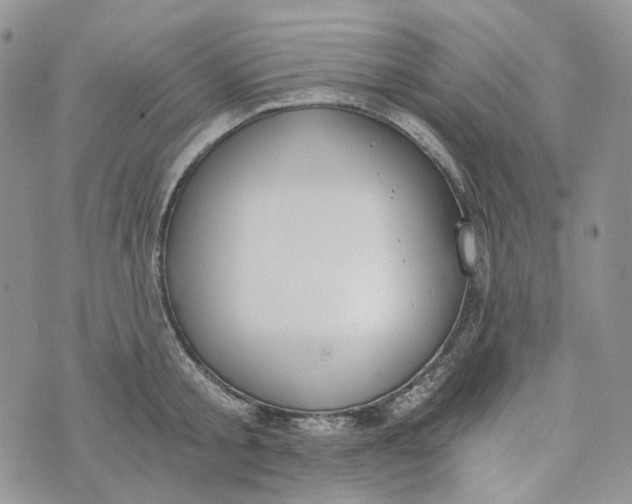 X0000072950805200608111624