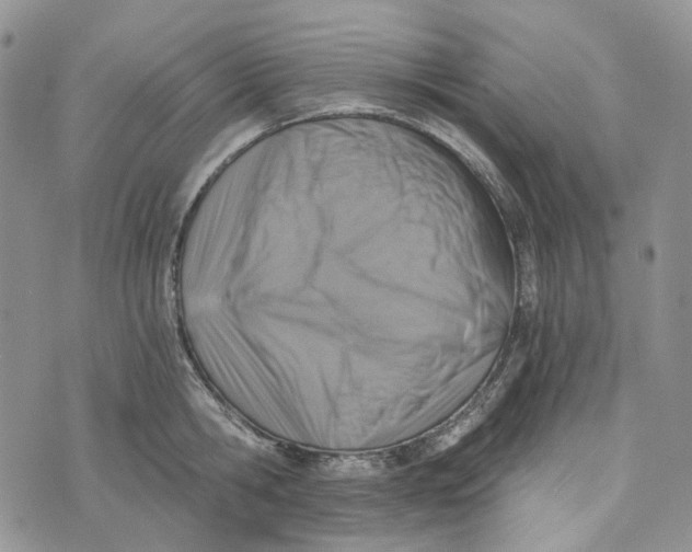 X0000072950806200608111624