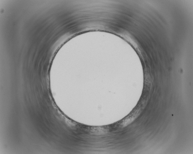 X0000072950807200608111624