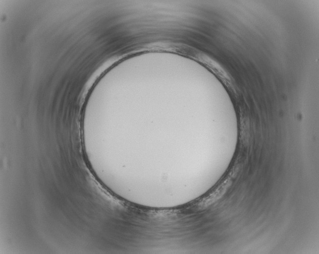 X0000072950808200608111624