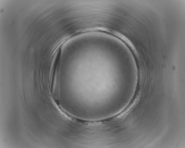 X0000072950809200608111624