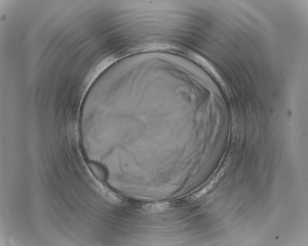 X0000072950810200608111624