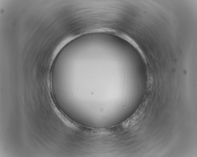 X0000072950811200608111624