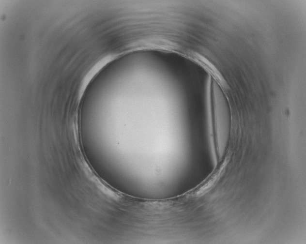 X0000072950812200608111624