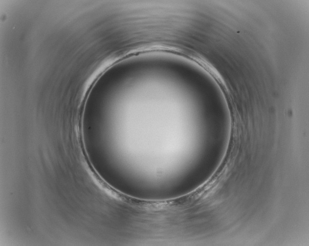 X0000072950813200608111624