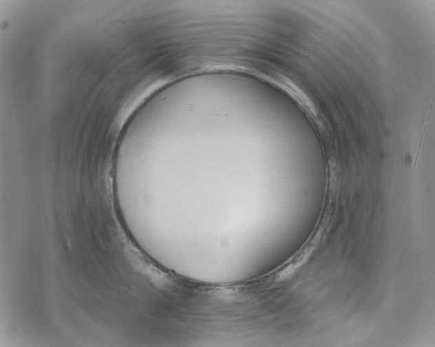 X0000072950814200608111624