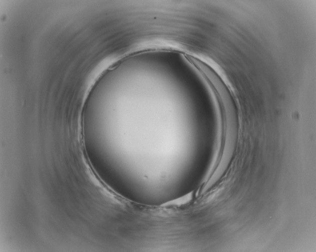 X0000072950815200608111624