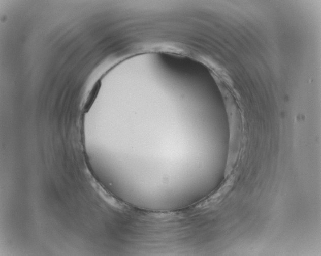 X0000072950816200608111624