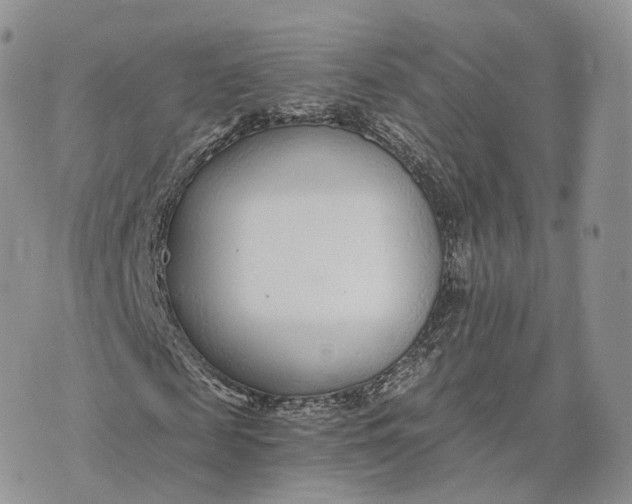 X0000072950817200608111623