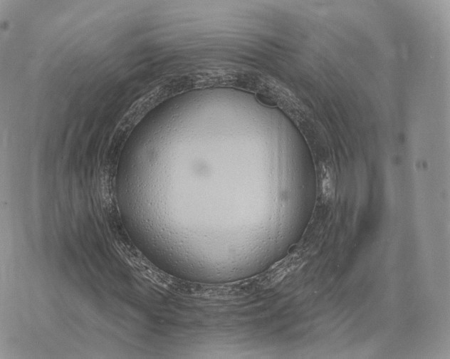 X0000072950819200608111623