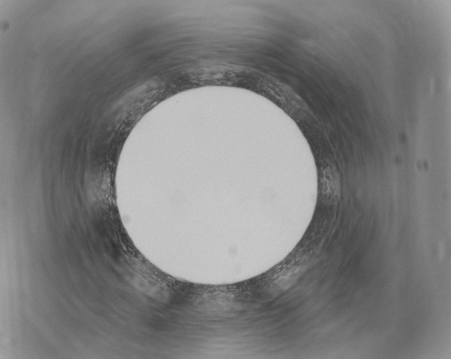 X0000072950820200608111623