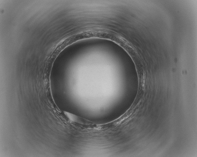 X0000072950822200608111623