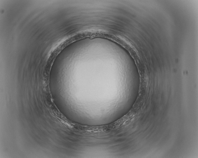 X0000072950823200608111623