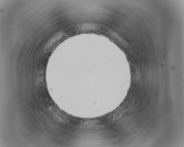 X0000072950824200608111623