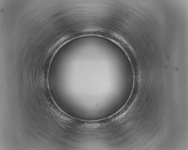 X0000072950825200608111623