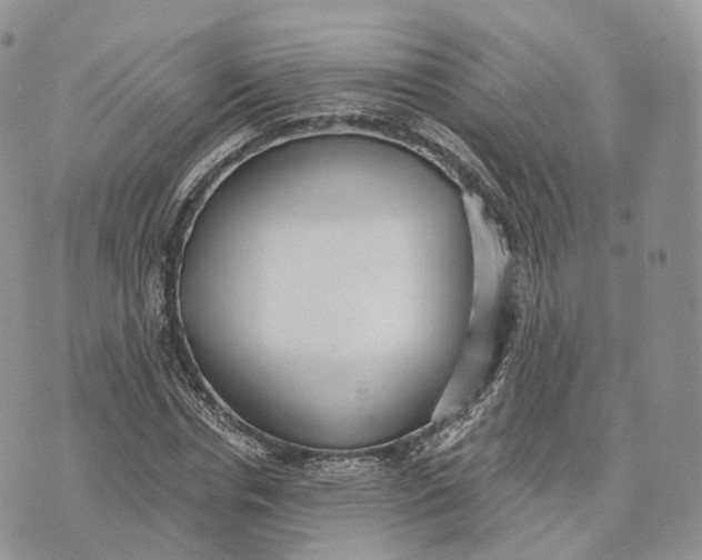 X0000072950826200608111623