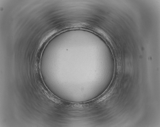 X0000072950827200608111623