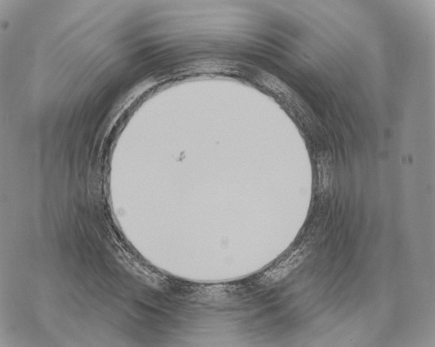 X0000072950828200608111623