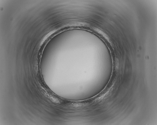 X0000072950829200608111623