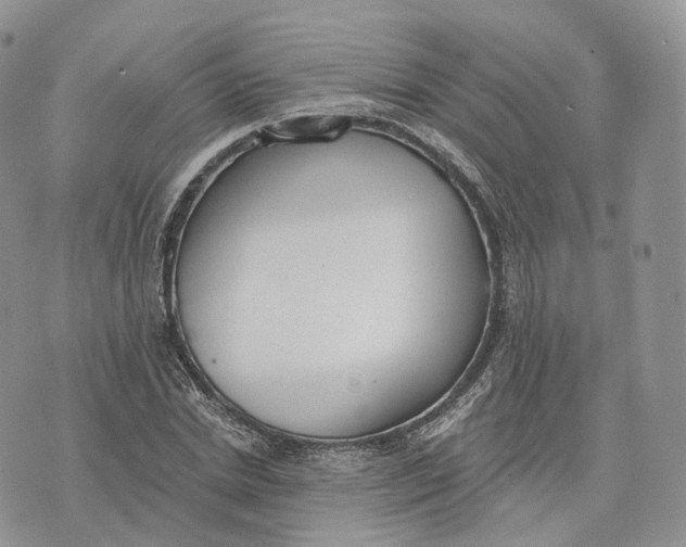 X0000072950830200608111623