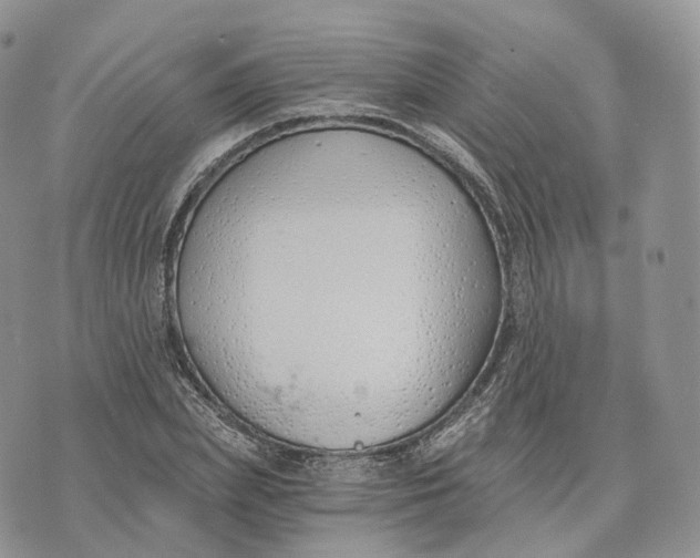 X0000072950831200608111623