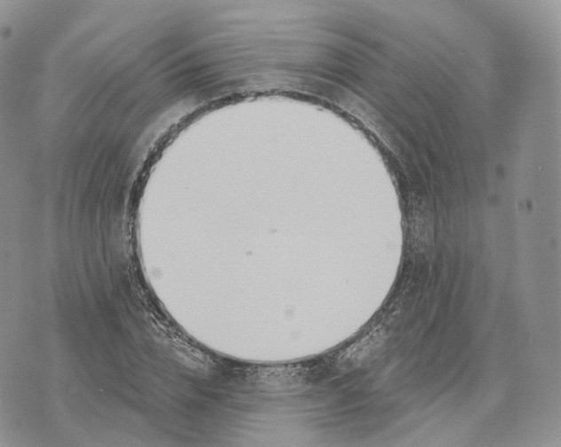 X0000072950832200608111623