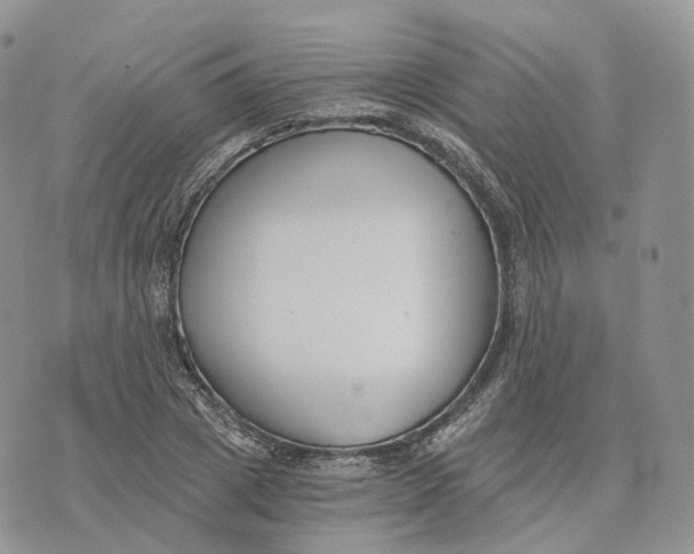 X0000072950833200608111623