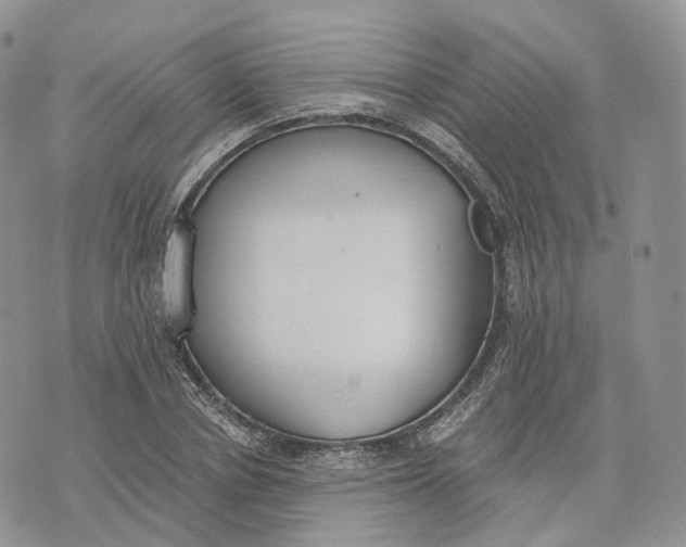 X0000072950834200608111623