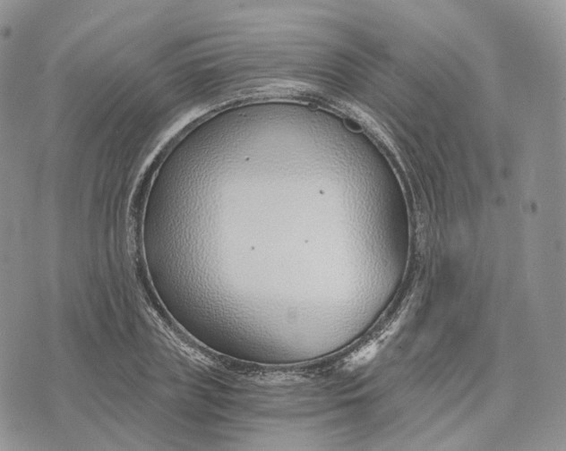 X0000072950835200608111623