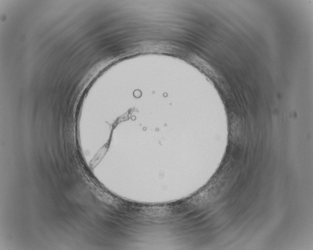 X0000072950836200608111623