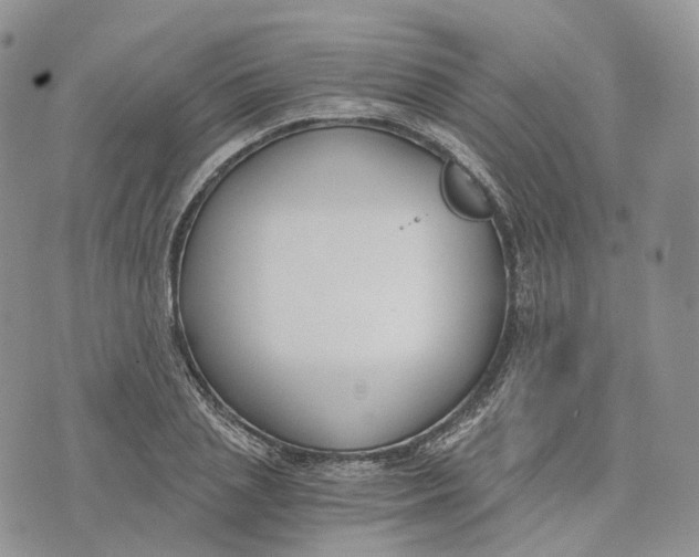 X0000072950837200608111623