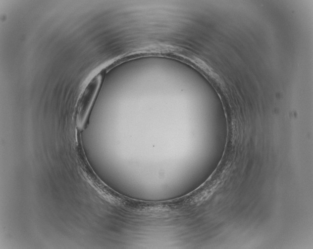 X0000072950838200608111623