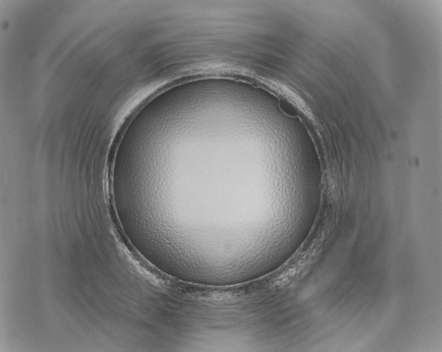 X0000072950839200608111624