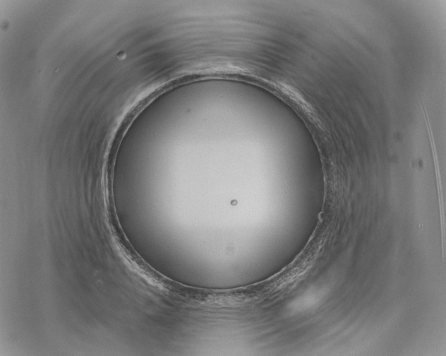 X0000072950840200608111624