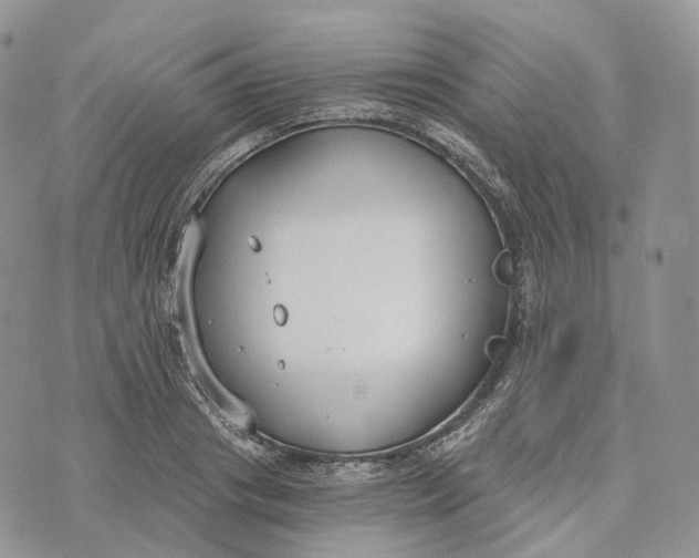 X0000072950841200608111624