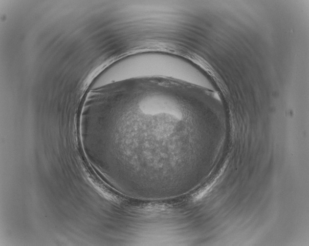 X0000072950842200608111624