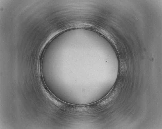 X0000072950843200608111624