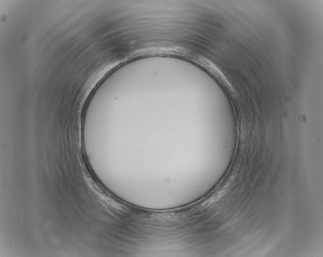 X0000072950844200608111624