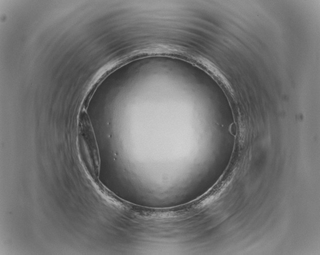 X0000072950845200608111624