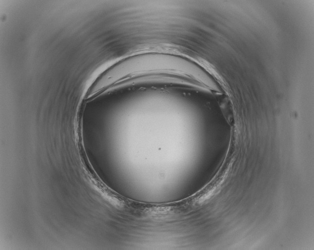 X0000072950846200608111624