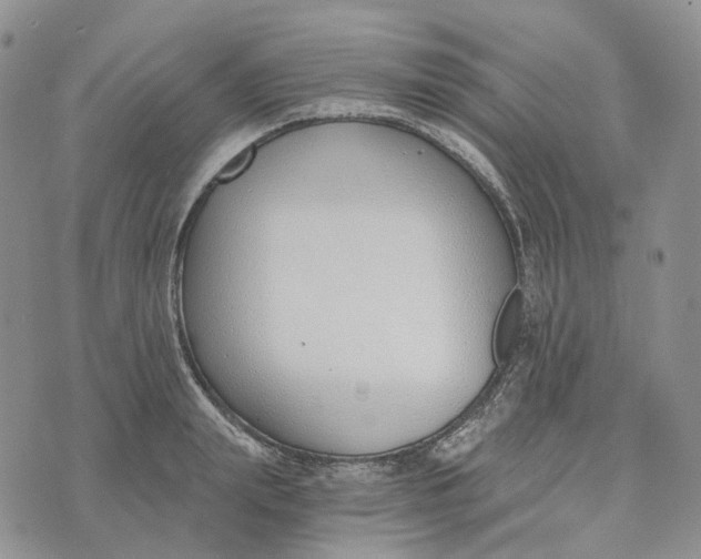 X0000072950847200608111624