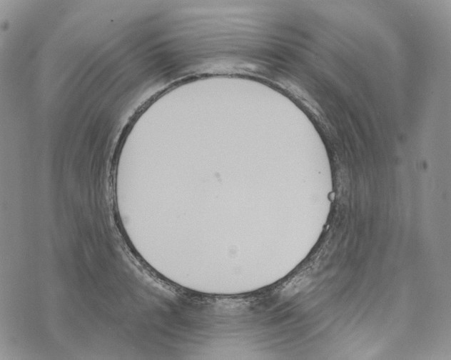 X0000072950848200608111624