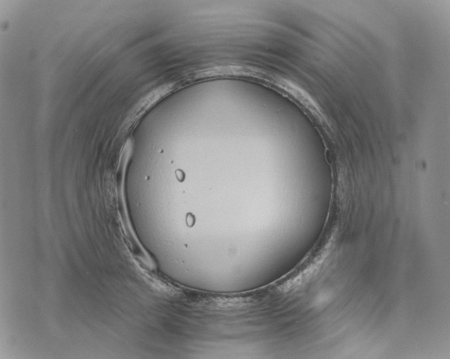 X0000072950849200608111624