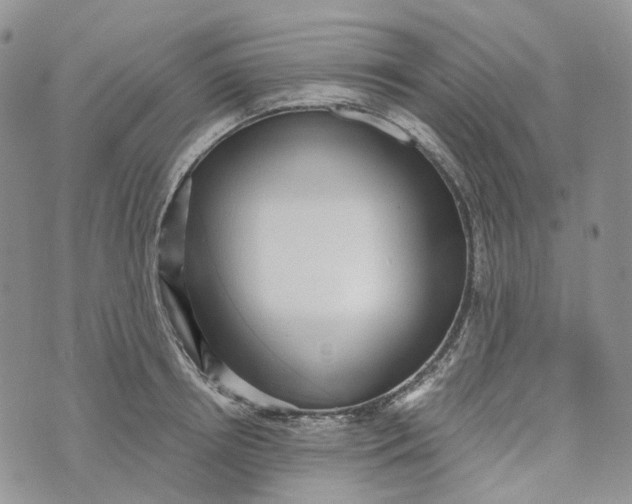 X0000072950850200608111624