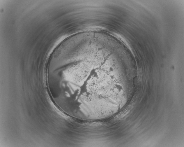 X0000072950851200608111624