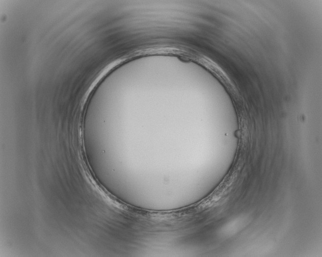 X0000072950852200608111624