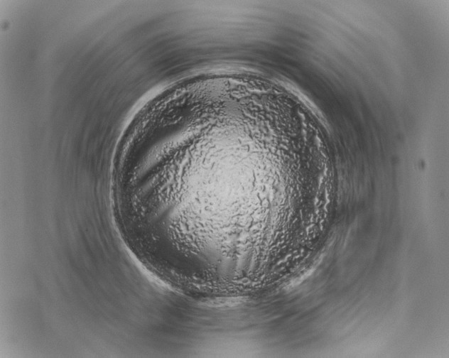 X0000072950853200608111624